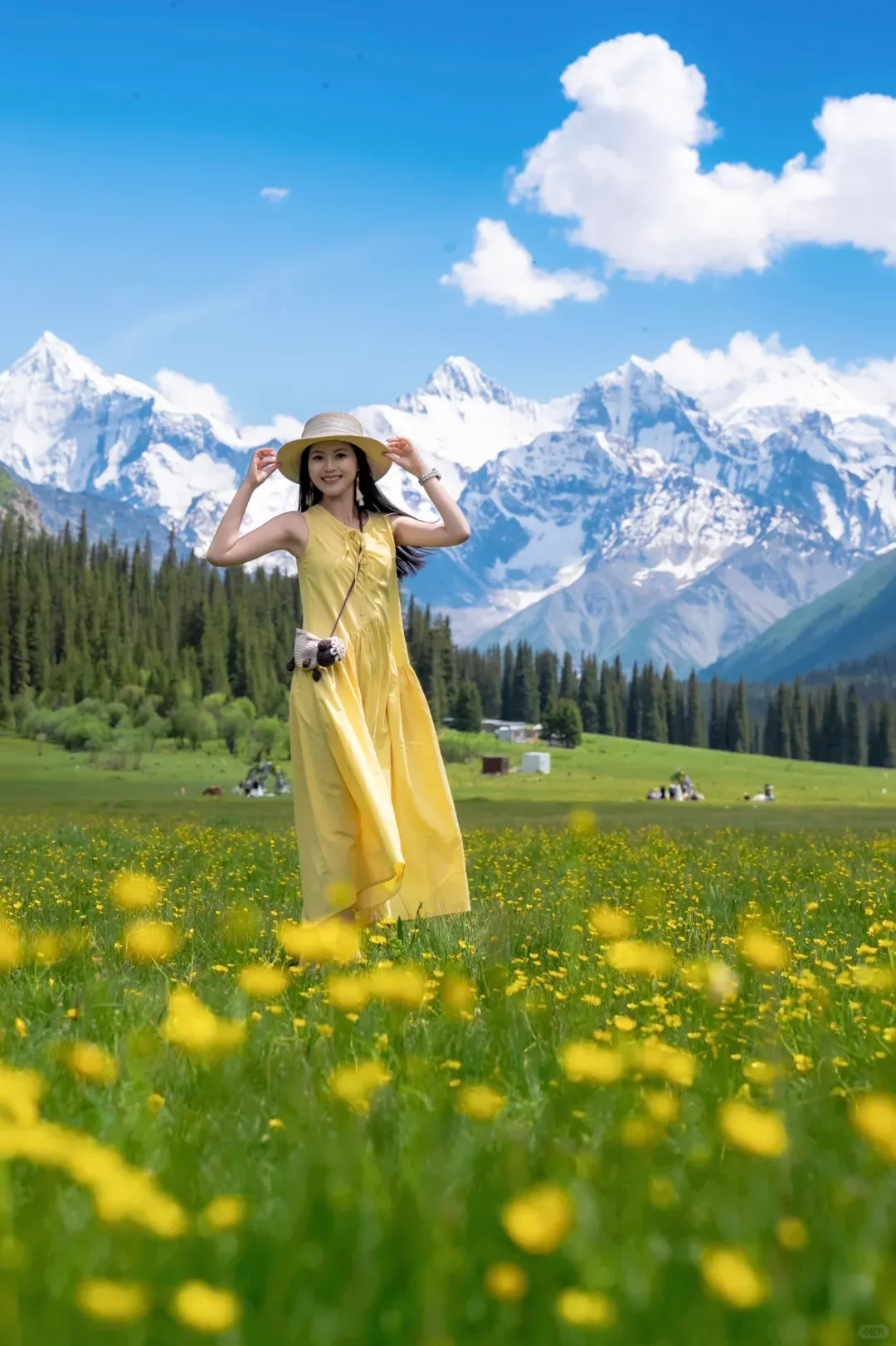 夏塔雪山花海